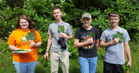 students with leaves